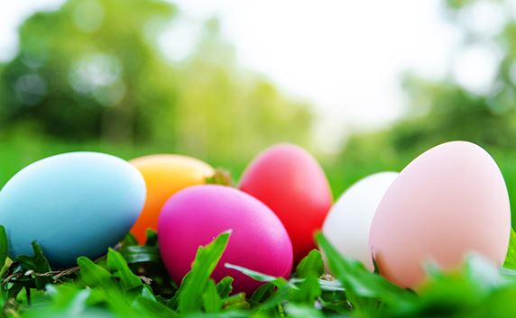 Easter Eggs sitting in grass