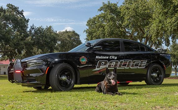 black police car and K9 outside in park