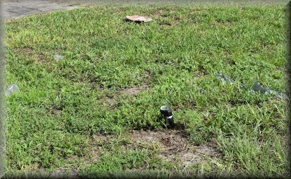 Litter along the side of the road