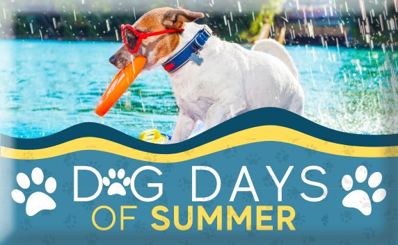 Dog Days website button